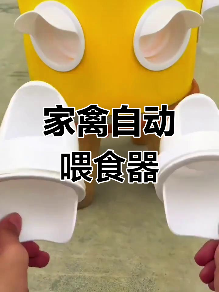 自动喂食器让家禽养殖更轻松,卫生又方便