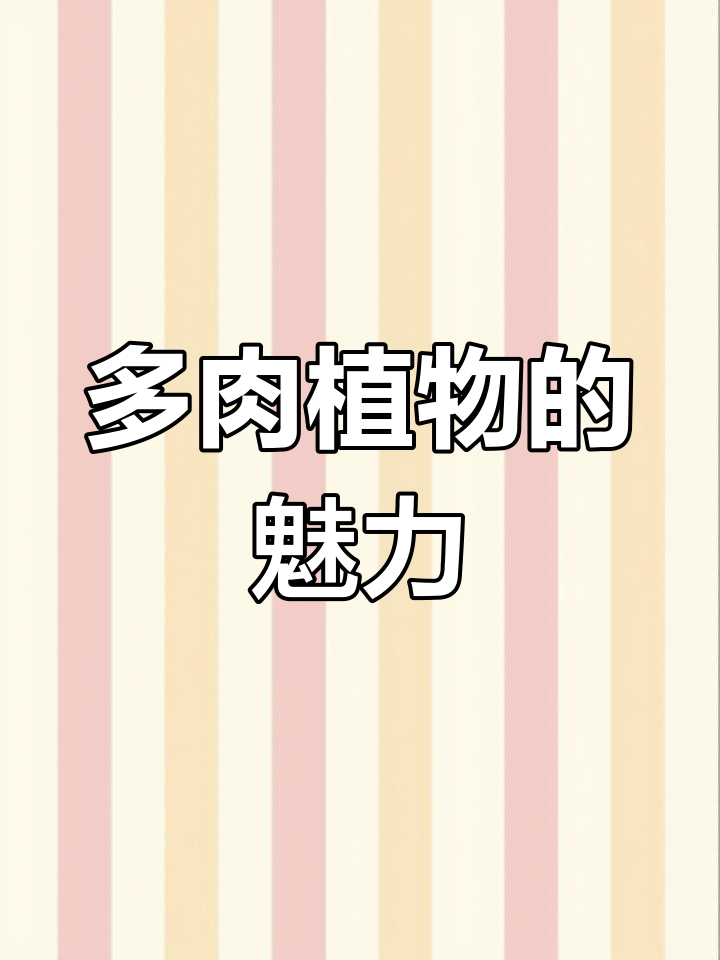 探秘多肉植物:各种美丽品种大揭秘