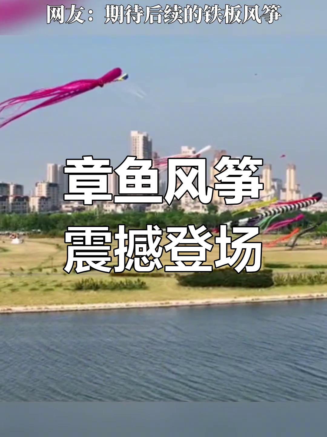 10月8日青岛巨型章鱼风筝震撼放飞