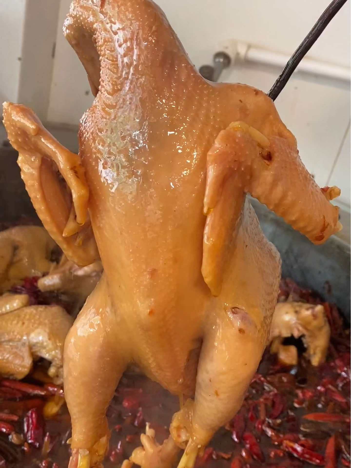 五香烧鸡 麻椒鸡 风干鸡 河南老家风味美食烧鸡,老乡在外地想吃了给你邮去!