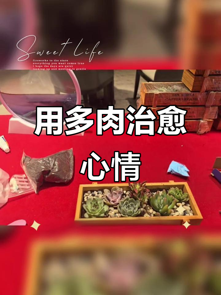 多肉植物治愈生活,五一活动火热开启