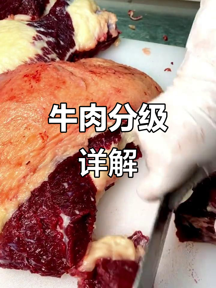 牛肉品质大揭秘:不同等级的口感与价格差异