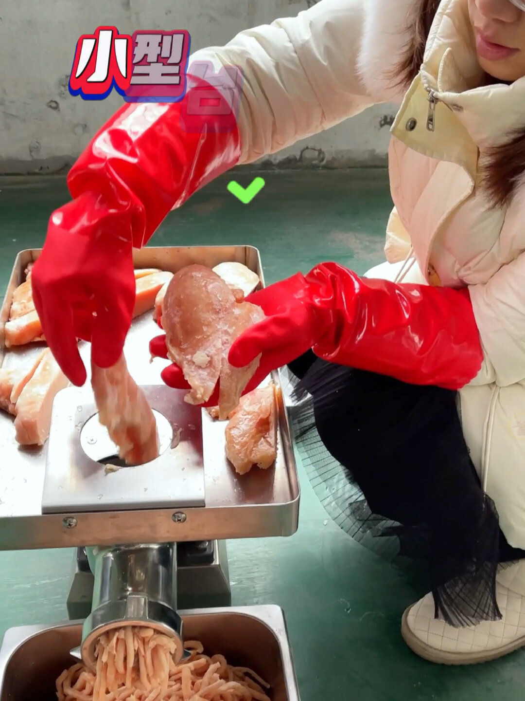 小型台式绞肉机商用