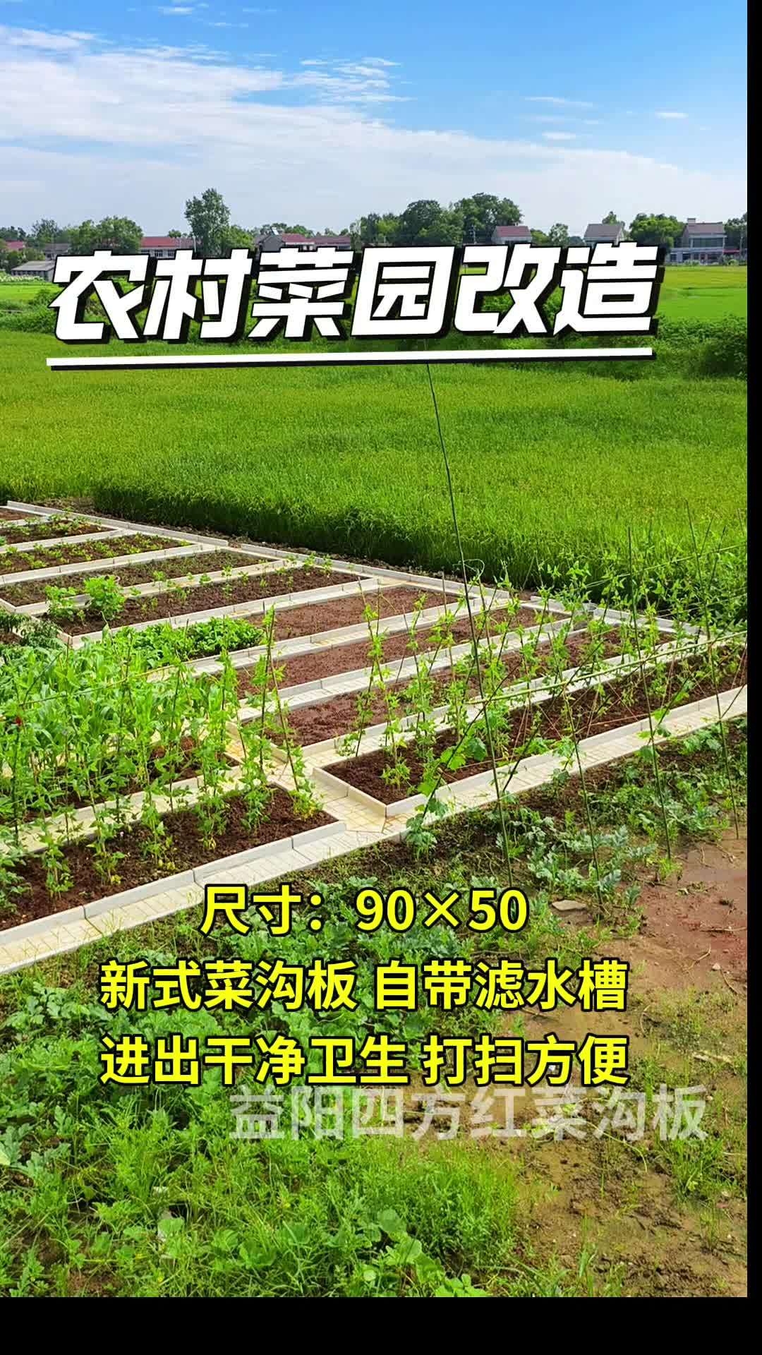 菜沟板 我的小菜园 小院改造 农村菜园设计 自家小菜园设计