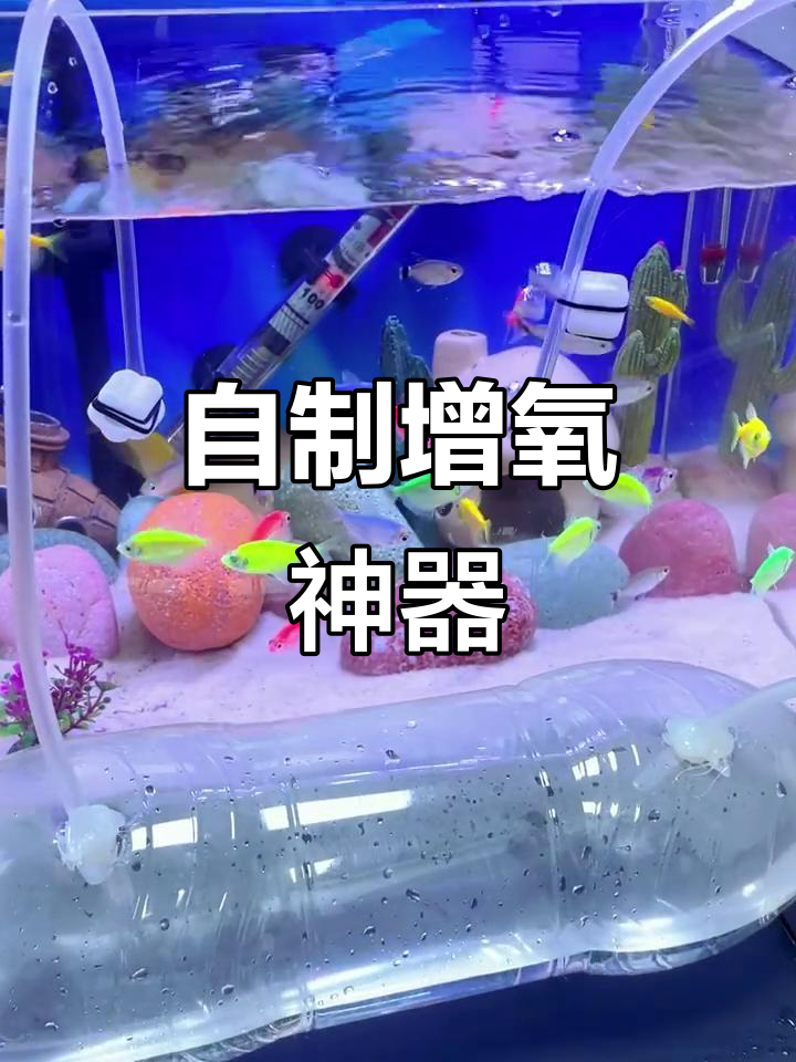 零成本增氧泵,鱼缸氧气不断,告别断电困扰!