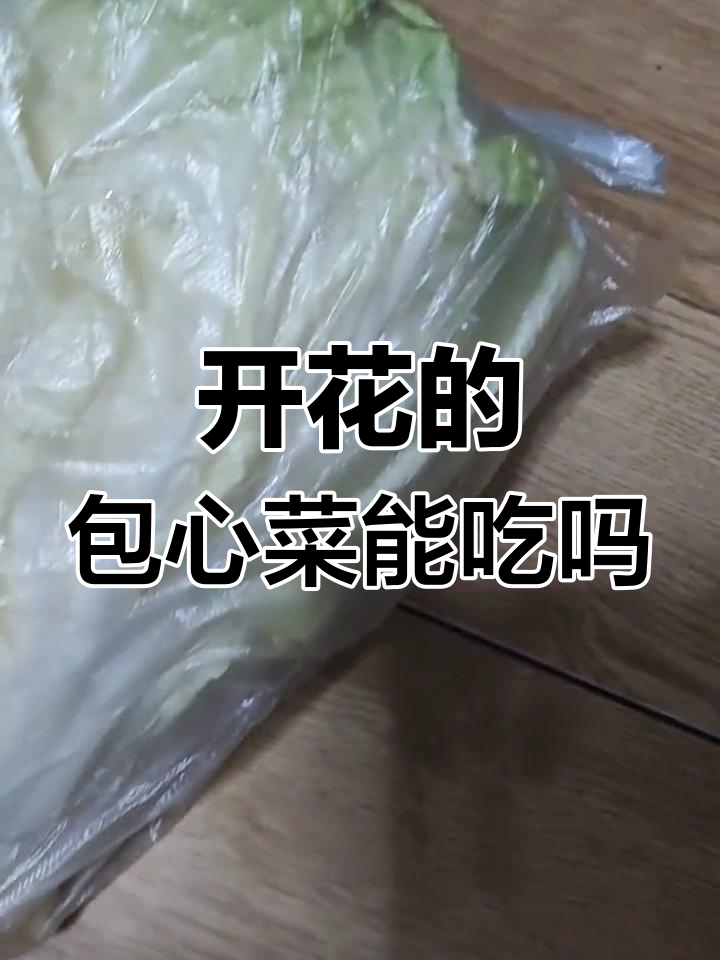 包心菜开花还能吃吗?