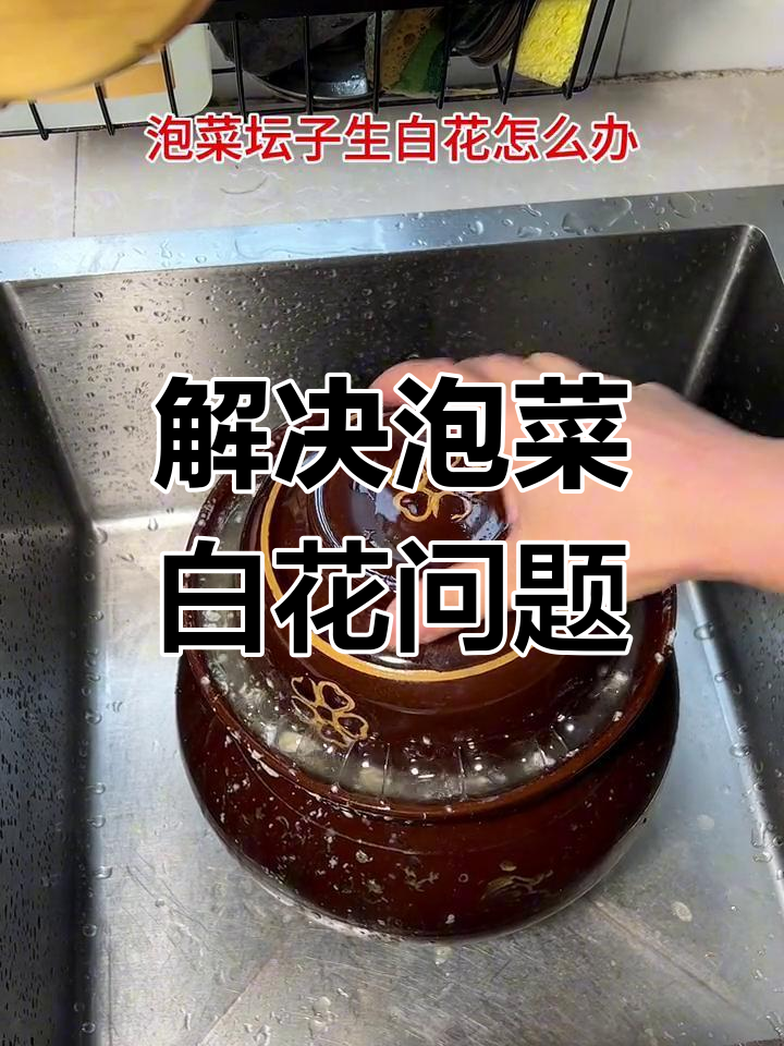 泡菜坛子生白花?教你轻松解决