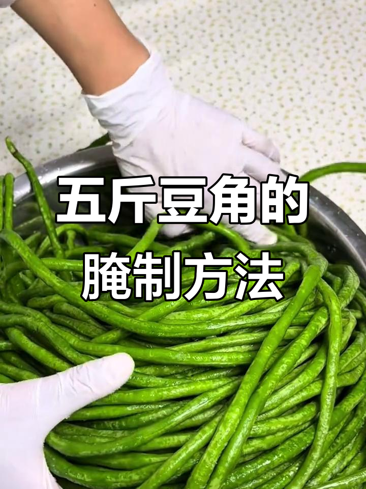 腌豆角技巧大揭秘,如何做出脆嫩可口的腌菜