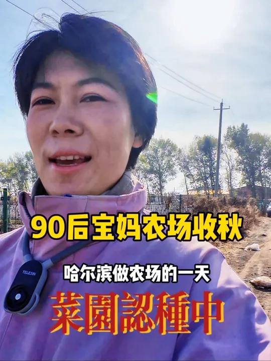 90后宝妈,回村创业秋收现场亲子农场在家种菜家庭农场认种菜园 哈尔滨包菜地