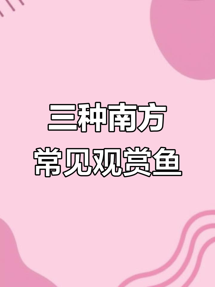 南方小溪三大观赏鱼,颜值爆表又美味