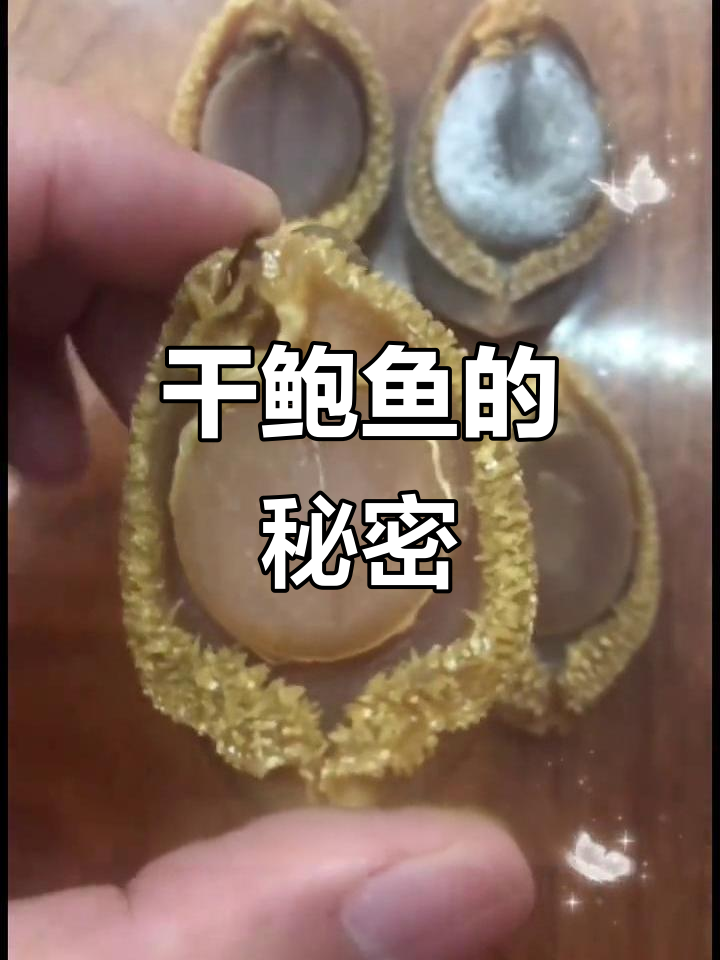干鲍鱼的美,九成靠存放!越久越好,品质决定一切