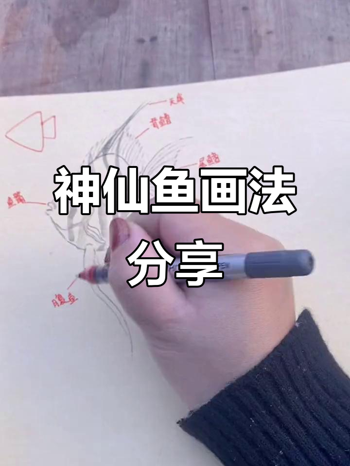 春季课程:神仙鱼绘画技巧大揭秘,画出幸福年