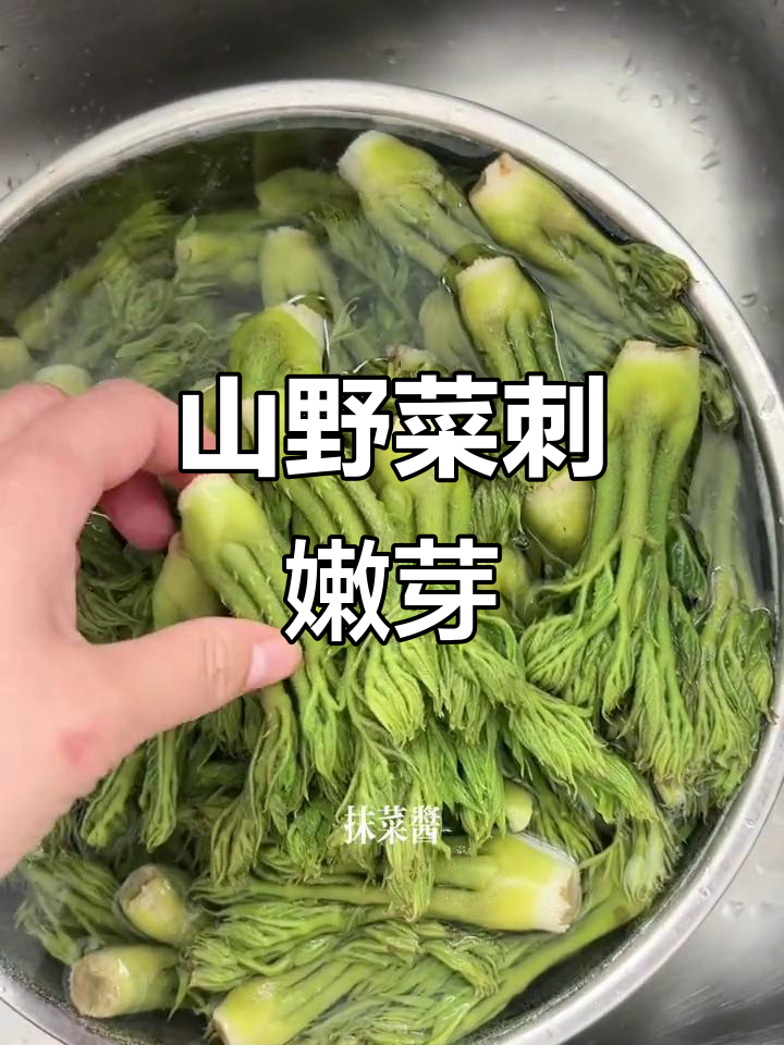 东北山野菜刺嫩芽,凉拌蘸酱吃最美味