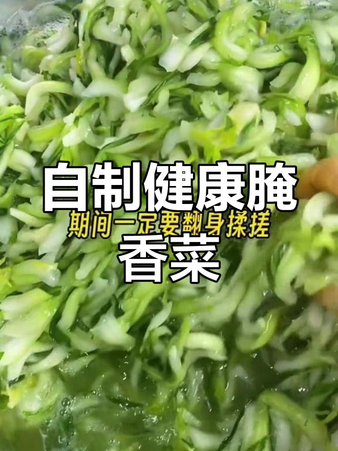 腌制香菜,传统做法,无添加剂,味道鲜美,吃一次就停不下来!