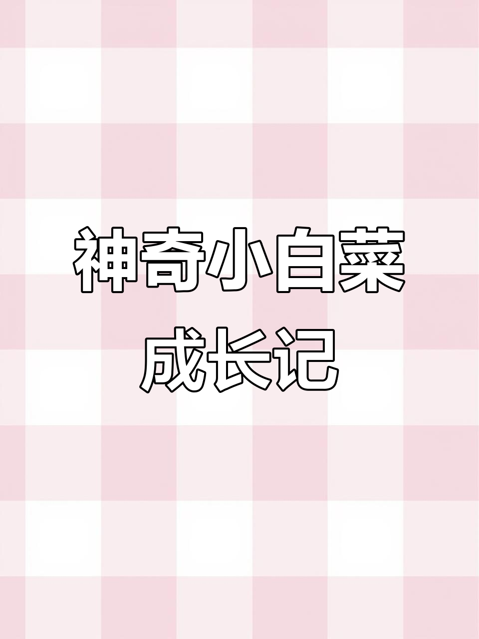 小白菜种子发芽，愿望成真！