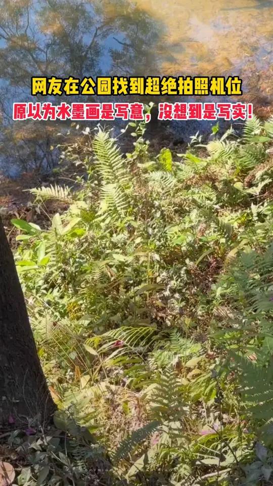 原以为水墨画是写意,没想到是写实