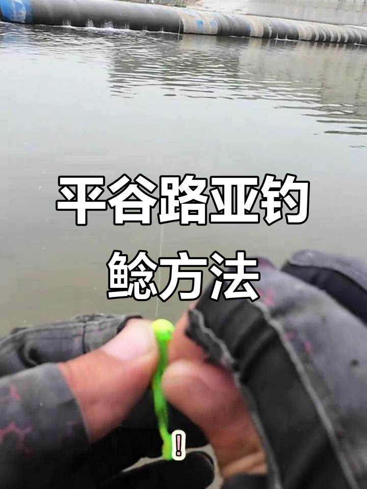 平谷泃河鲶鱼钓法全解析,轻松掌握技巧