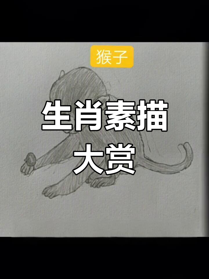 李同学素描十二生肖,生动传神,每个都栩栩如生