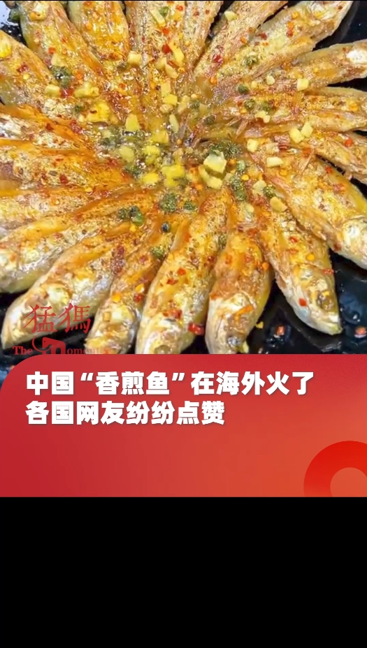 中国“香煎鱼”在海外火了,各国网友纷纷点赞