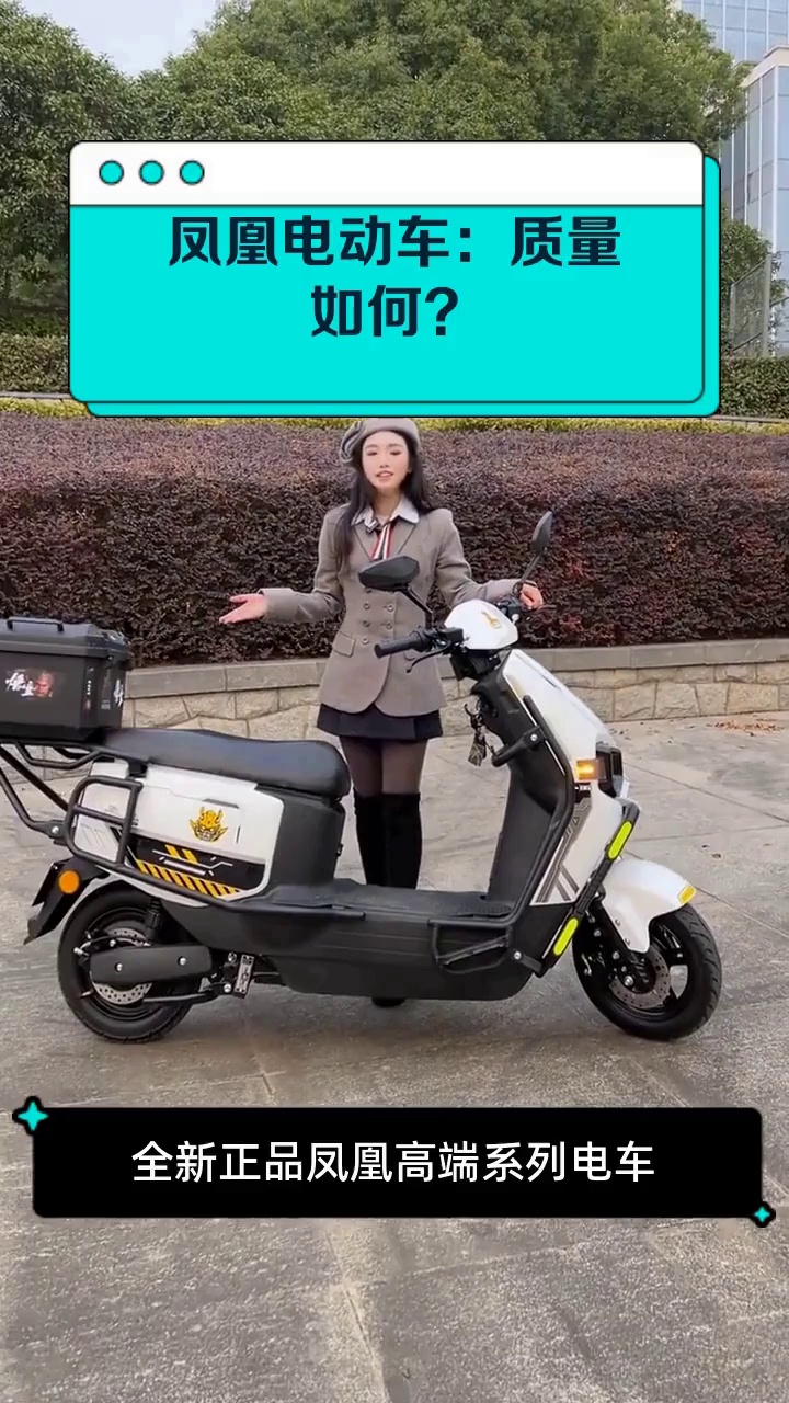 凤凰电动车:质量如何?
