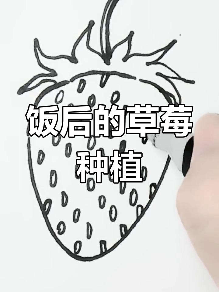 饭后种草莓,乐趣无穷