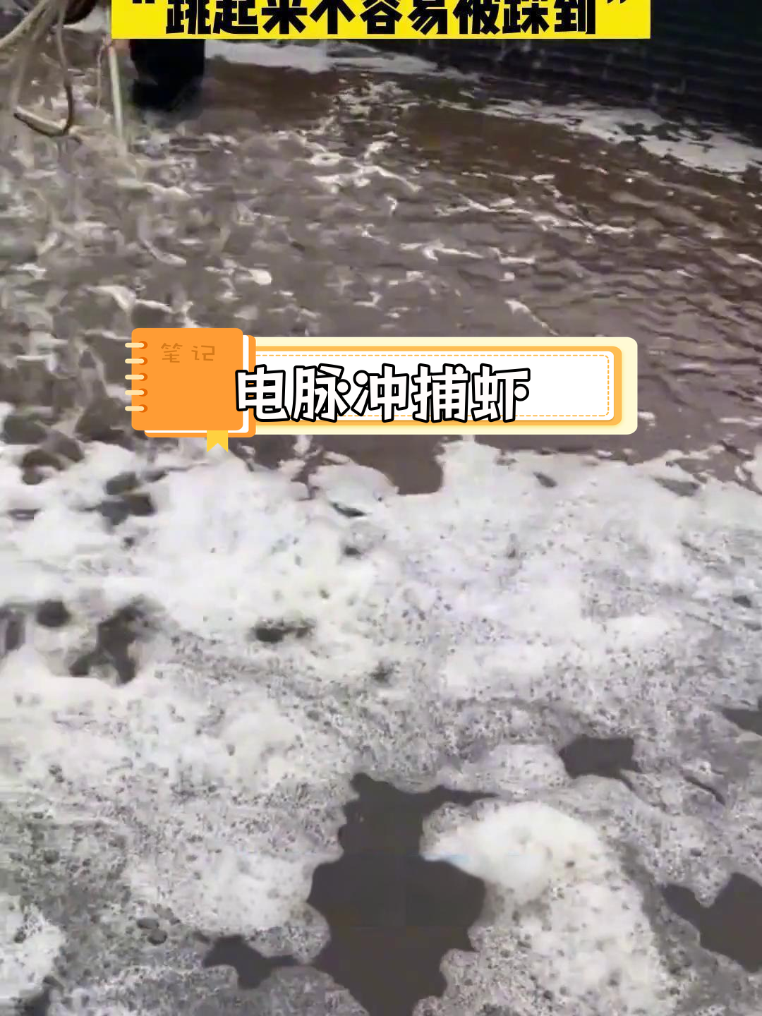 盐城养殖户用电脉冲捕虾,提高捕捉效率