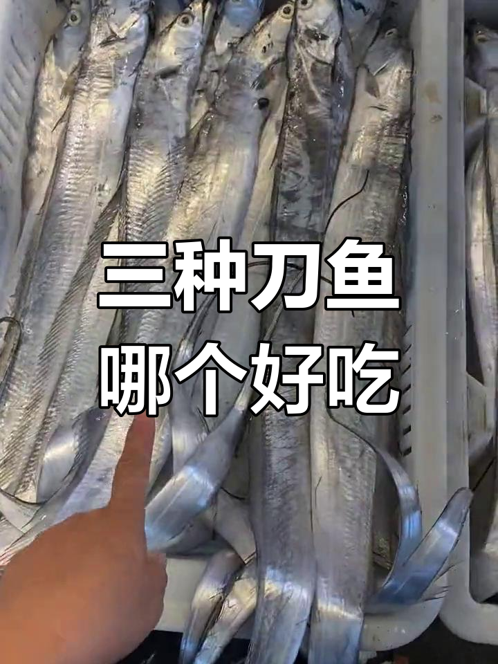 刀鱼种类大比拼,哪种最好吃?