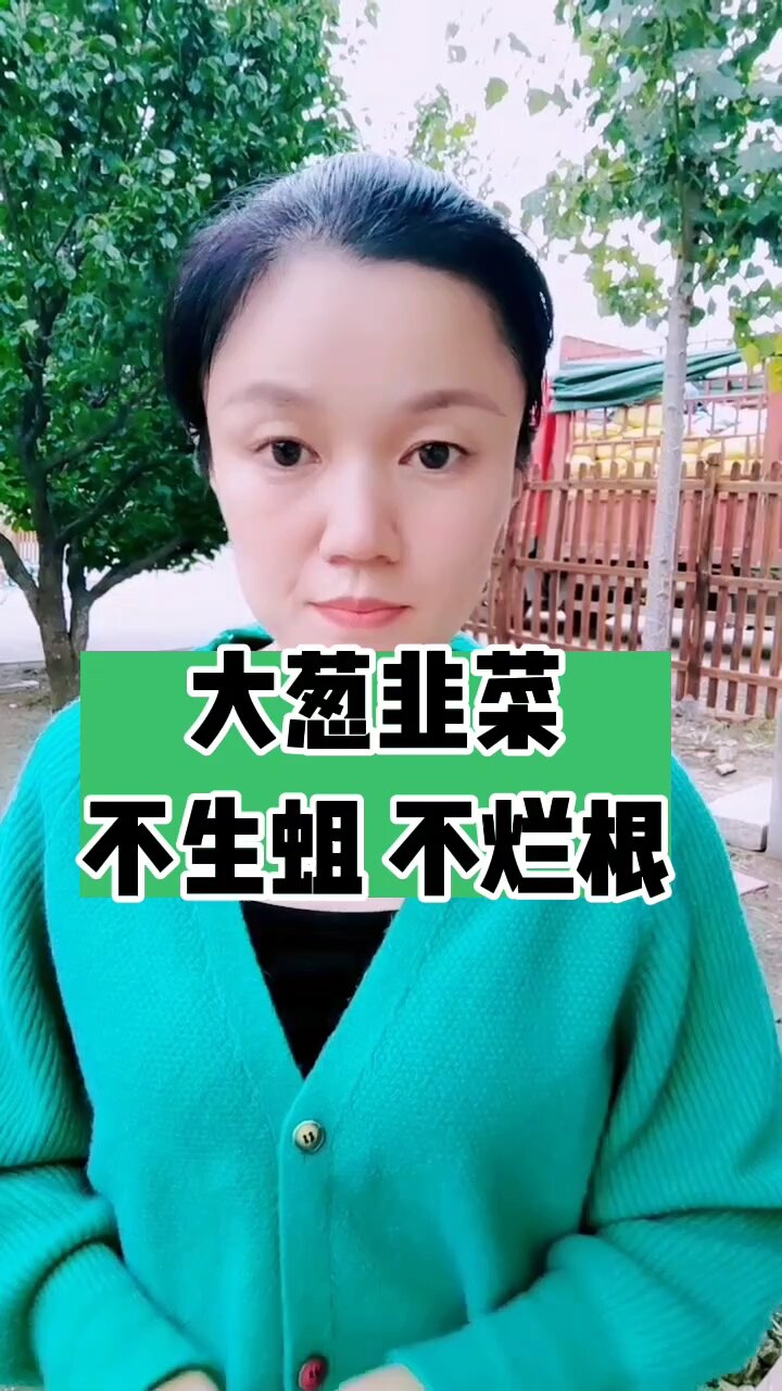 大葱 韭菜 不生蛆 不烂根