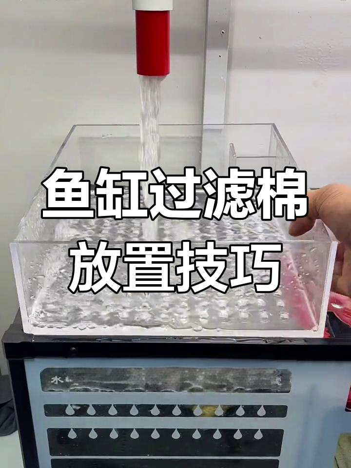 鱼缸过滤棉的正确摆放方法,粗细搭配提升效果
