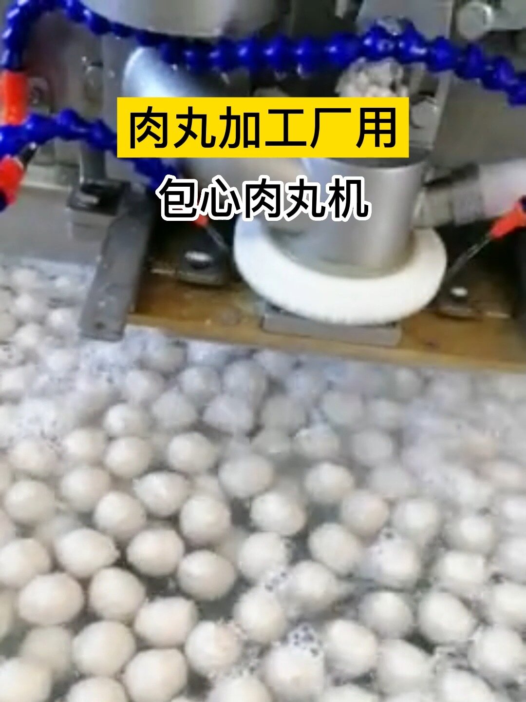 全自动包心肉丸机:可做鱼丸、贡丸、牛肉丸