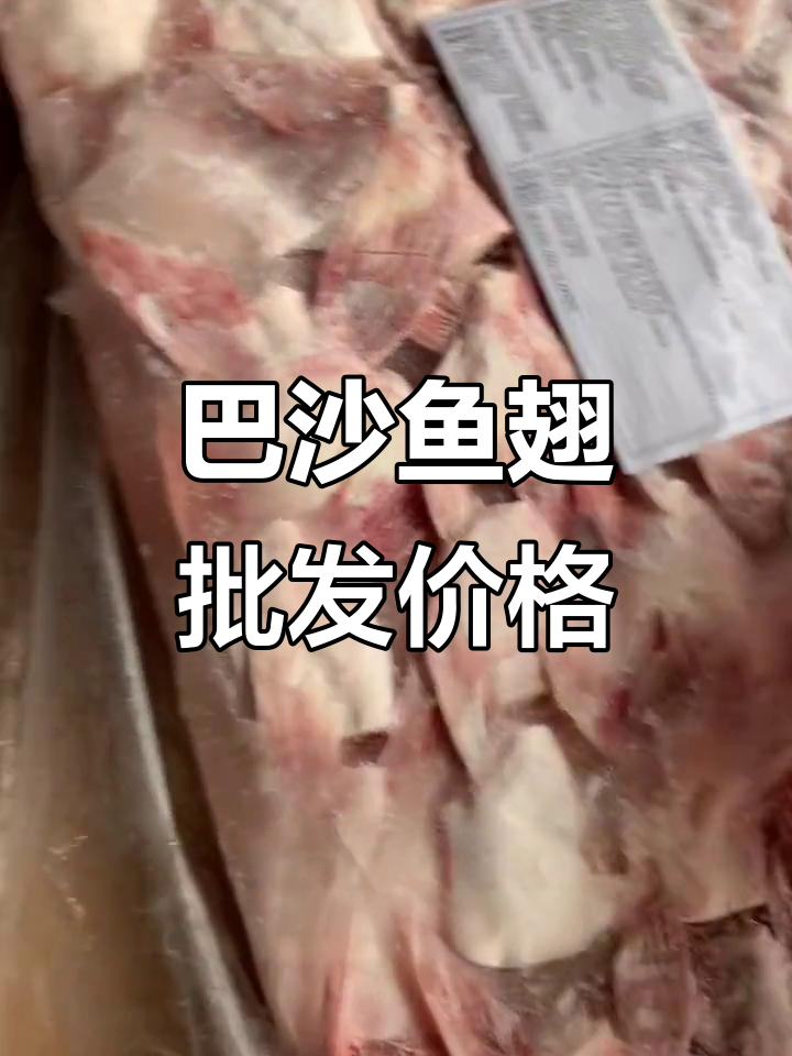 河南万邦市场巴沙鱼翅,七元一斤超值批发价