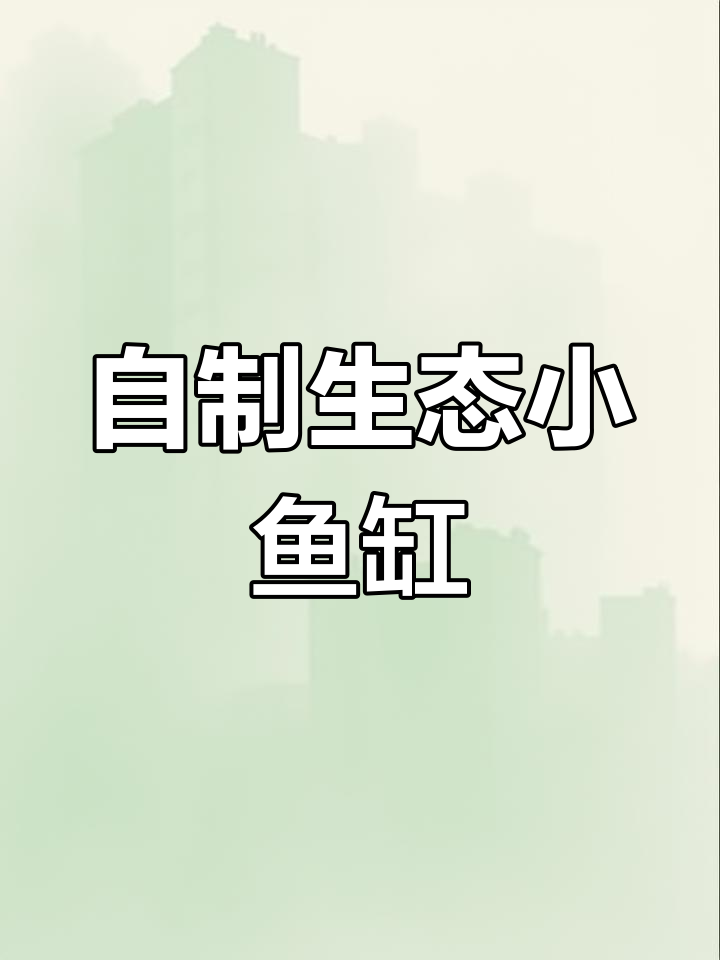 打造个性化生态鱼缸,提升家居格调