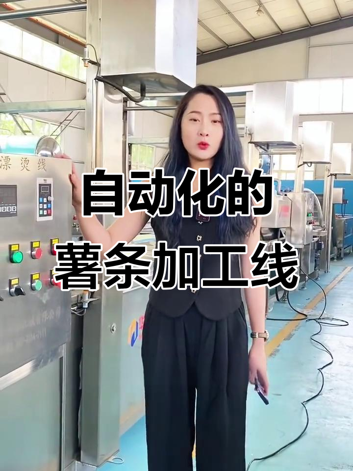 薯片生产线自动化设备揭秘,智能操控让生产更高效