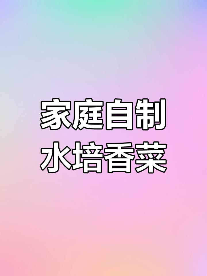 用泡沫盒和废杯子做水培香菜,简单又实用