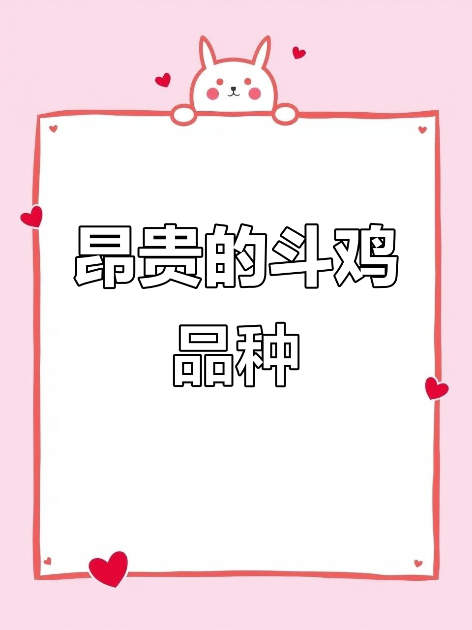 你知道哪些斗鸡品种最昂贵吗?