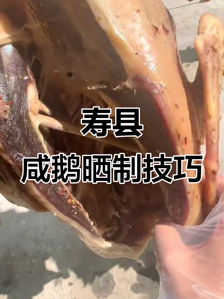 寿县咸鹅晒法大揭秘,如何让每一只都均匀受光?