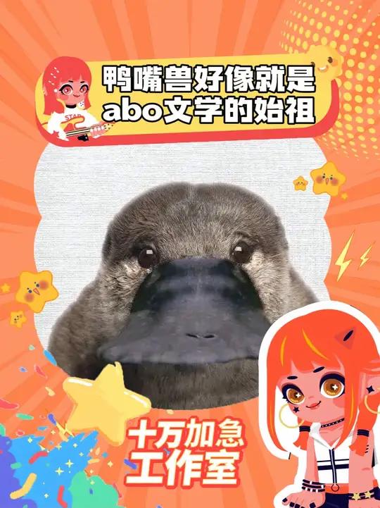 鸭嘴兽:一个让达尔文头发掉光的生物