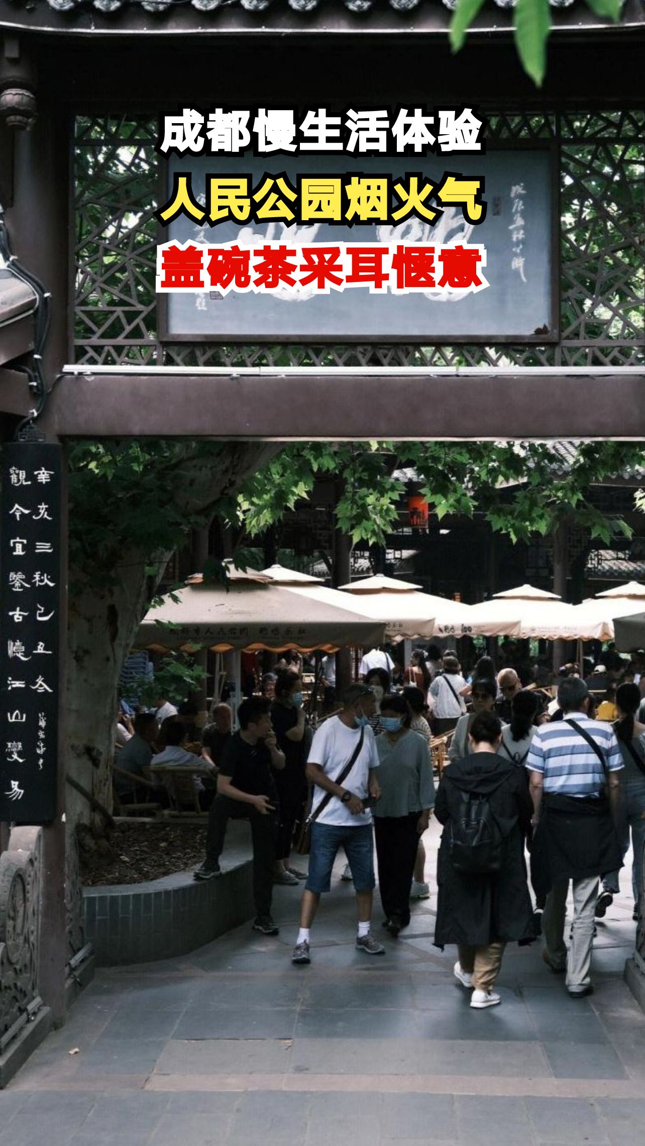 藏在成都人民公园的治愈之旅，喝茶采耳感受地道慢生活