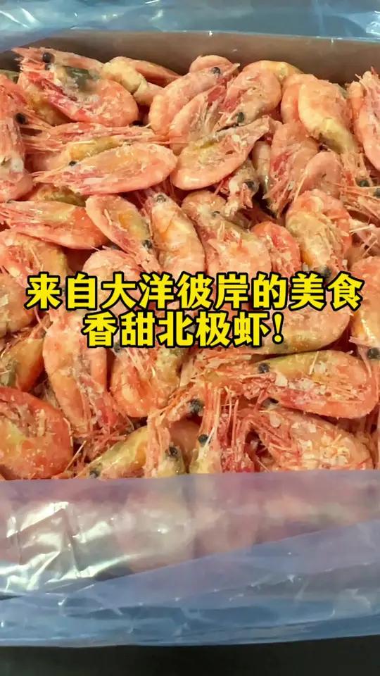 来自大洋彼岸的美食,北极甜虾吃过吗