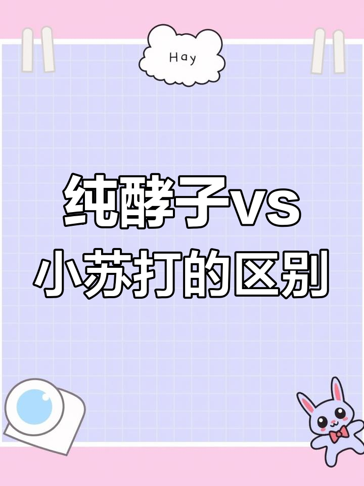 小苏打与酵母发酵效果大对比,馒头为何能变大?