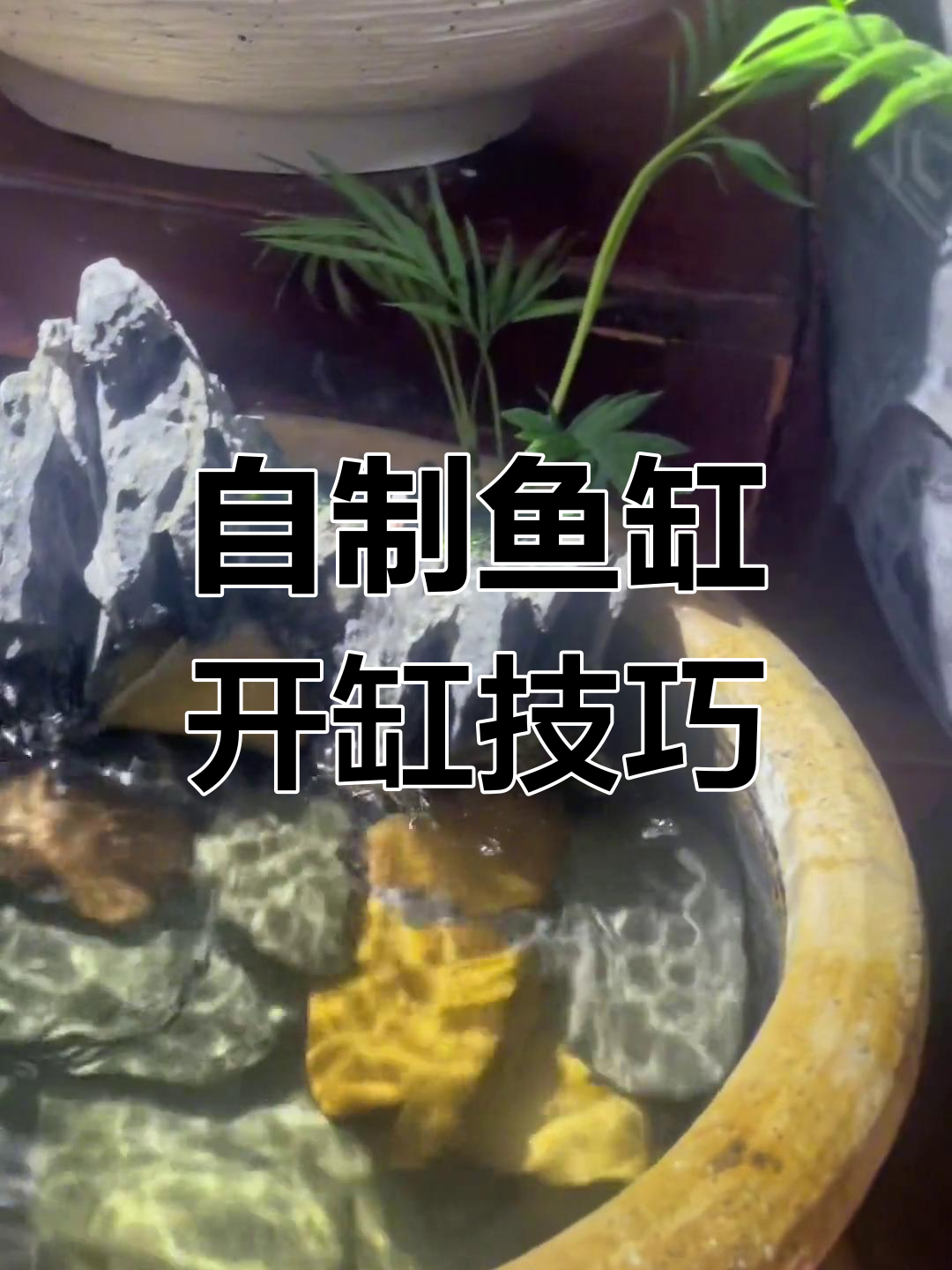 鱼缸DIY开缸教程,打造个性化水族世界