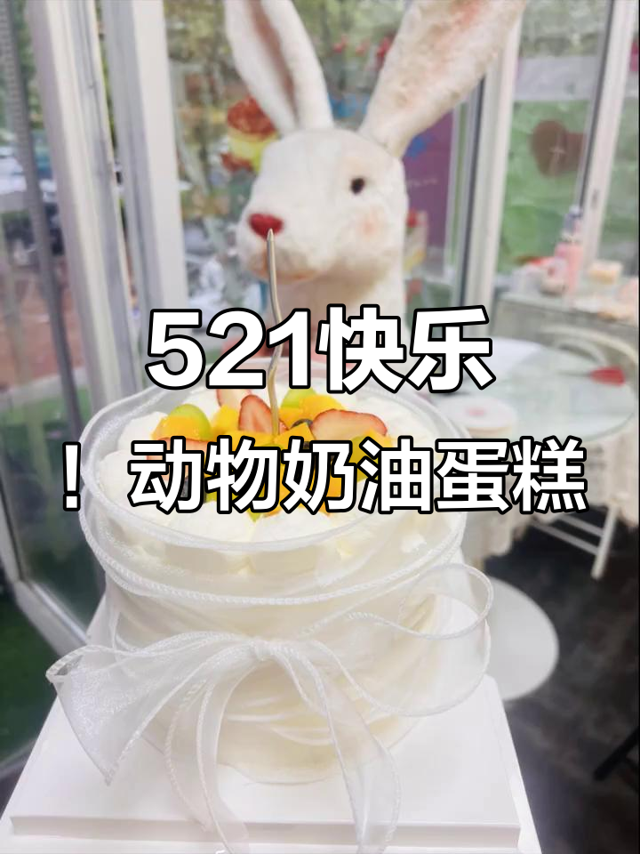 动物奶油蛋糕定制,真实照片展示美味与美丽