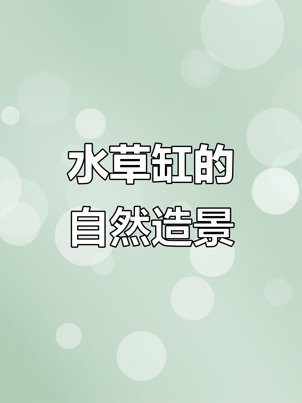 鱼缸里的微景观,水草泥打造自然生态