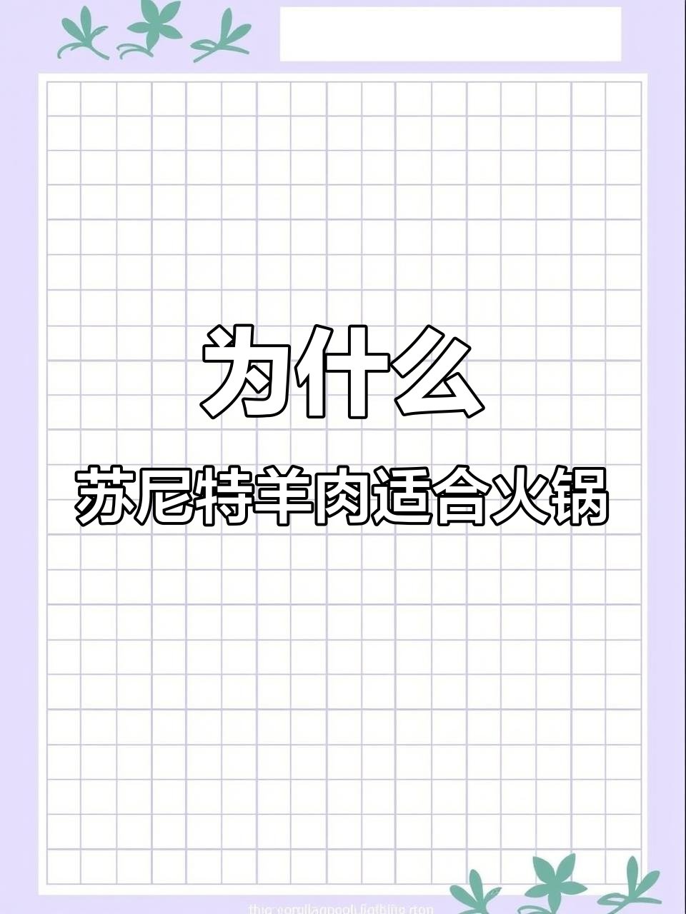 苏尼特羊肉为何最适合火锅涮?独特生长环境造就优质肉质