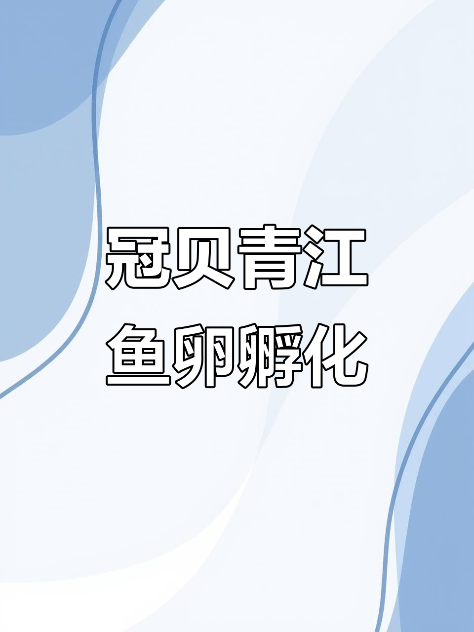 观背青鳉鱼卵孵化全过程,小鱼仔诞生超有趣