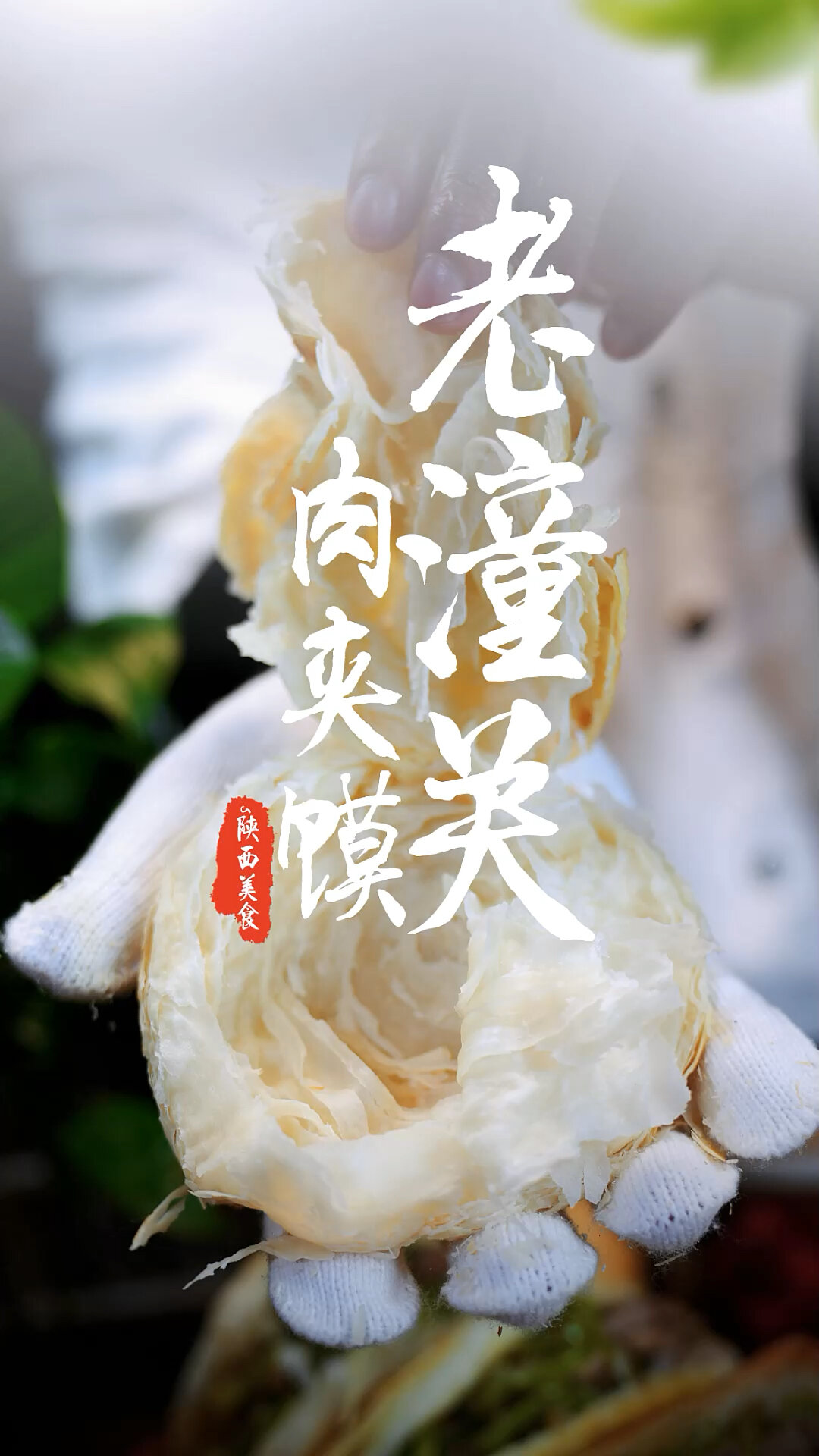 老潼关肉夹馍做法,烤制,焙力士电烤箱