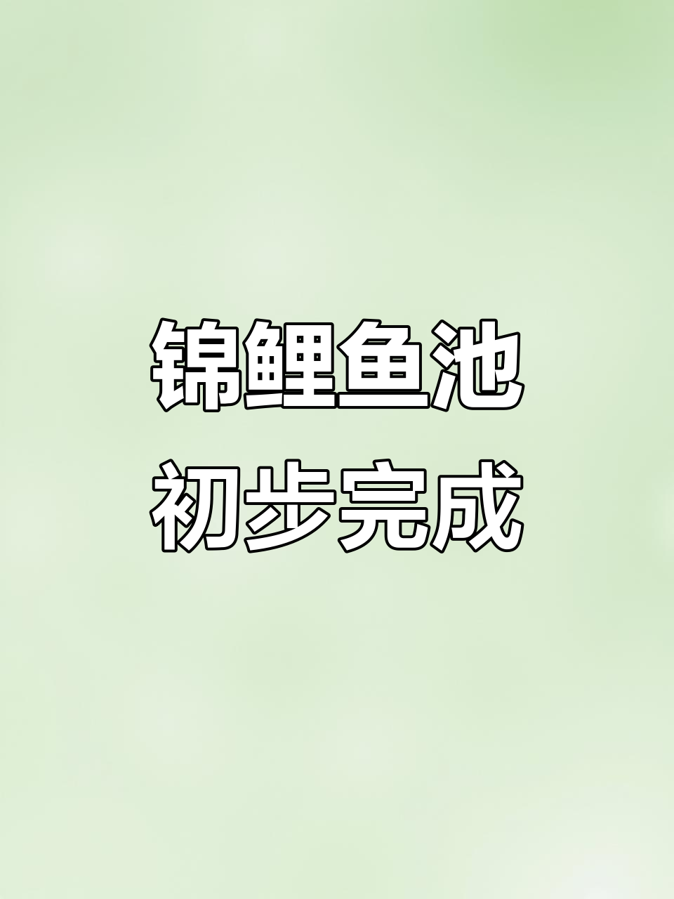 小院锦鲤鱼池完工,鹅卵石包边效果超赞!