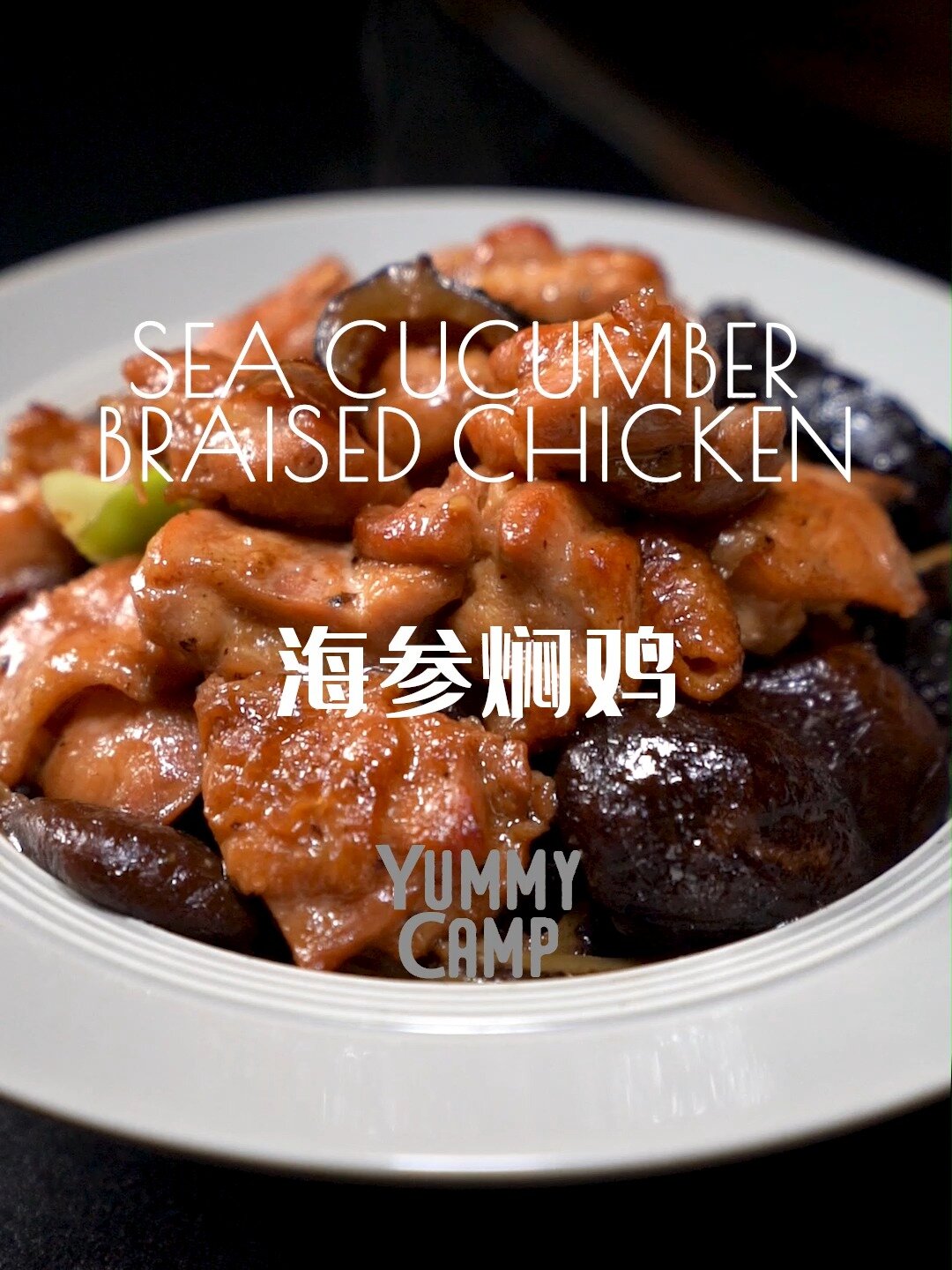 海参焖鸡 Sea Cucumber Braised Chicken