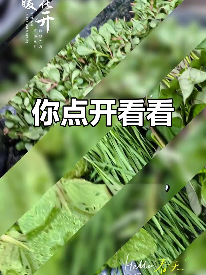 娜娜的抖音视频,不好看算我输!