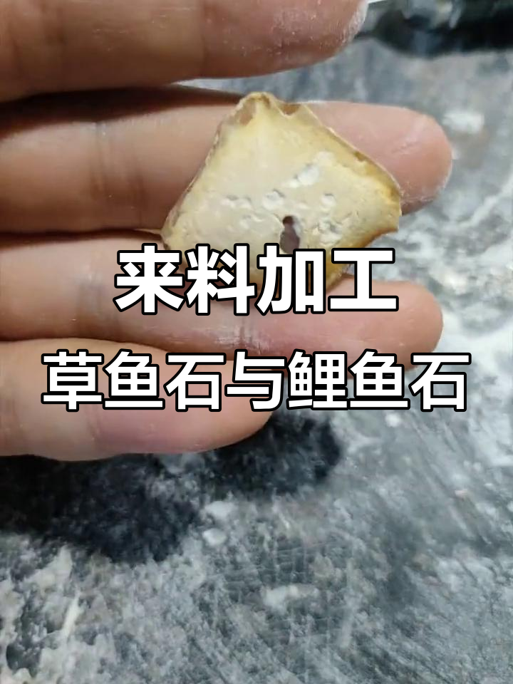 客户送来草鱼石和鲤鱼石,青玉钓大物必备
